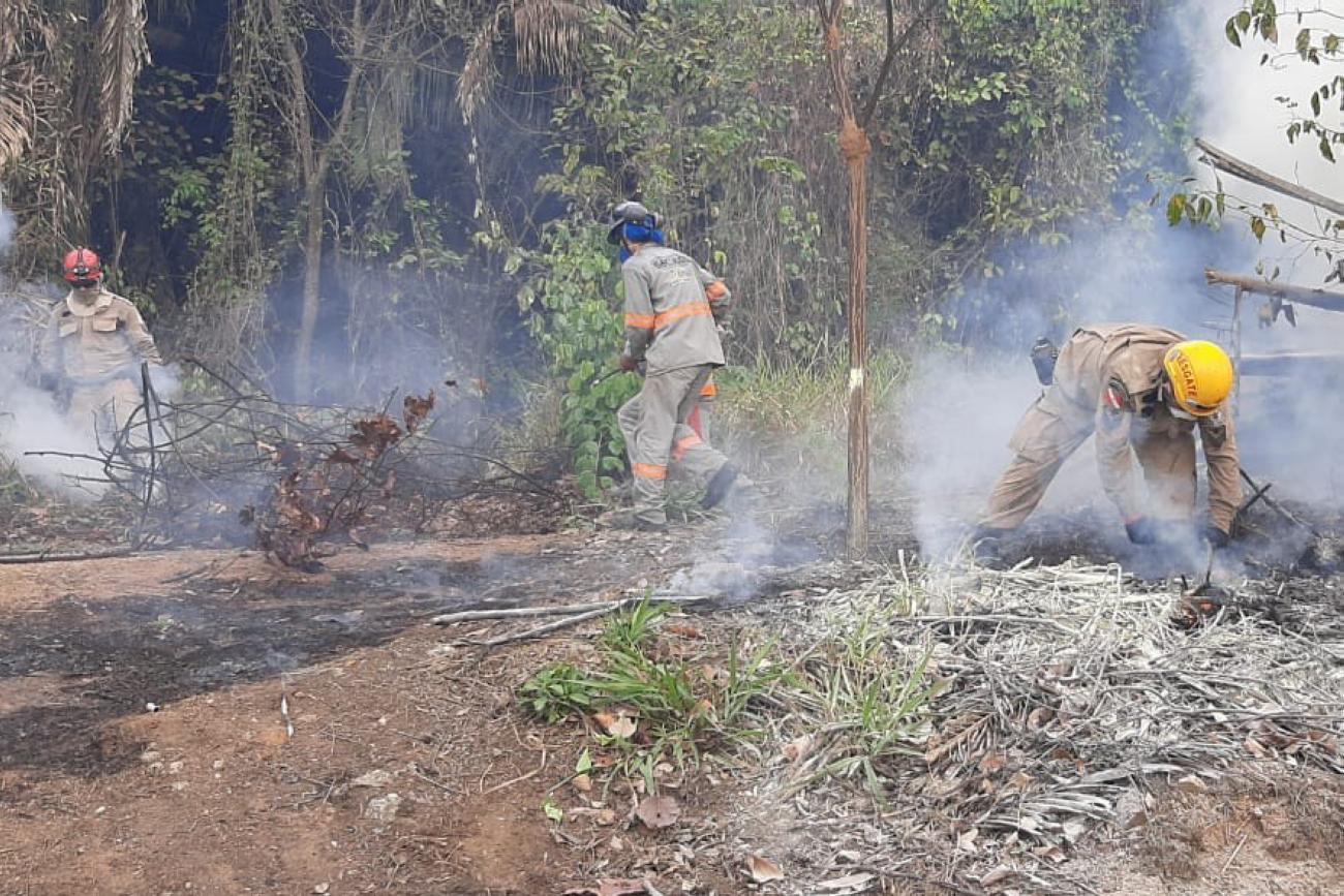 Combate a incêndio florestais no Pará terá ações imediatas