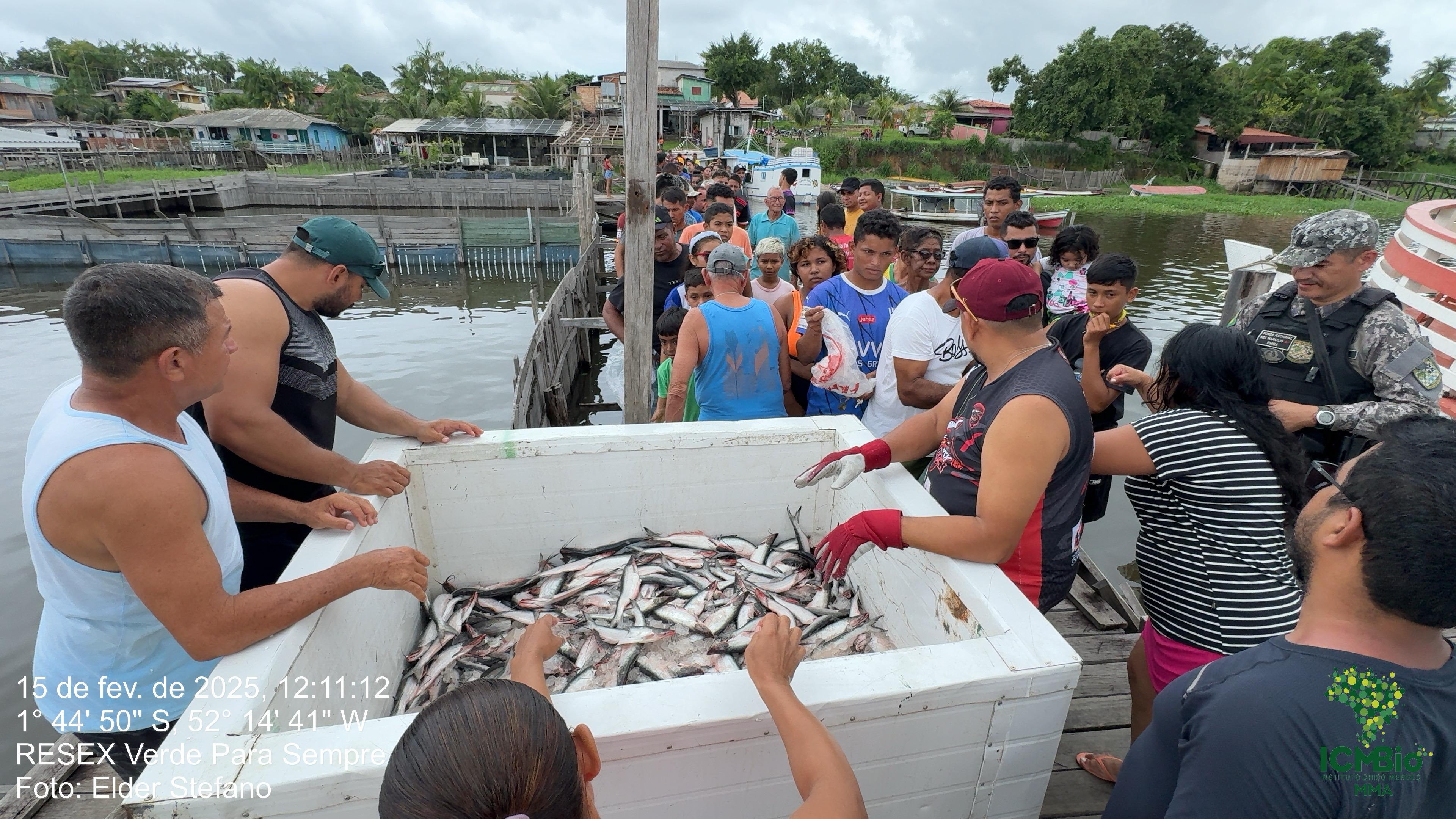 Pescado apreendido foi doado para a população de Porto de Moz